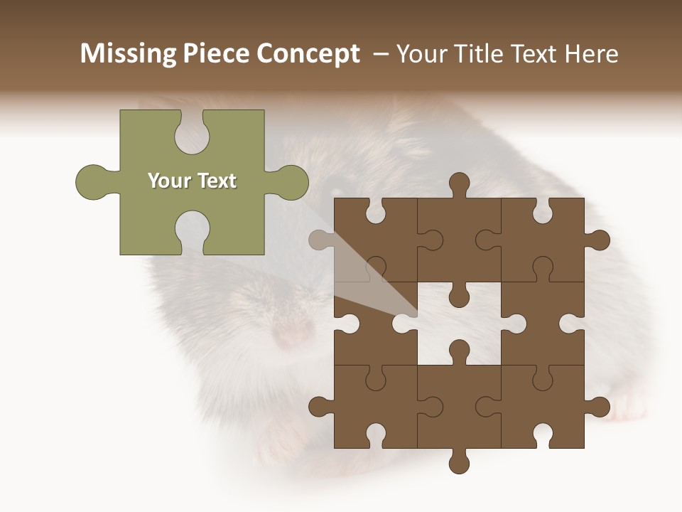 Phodopus Siberian Look PowerPoint Template