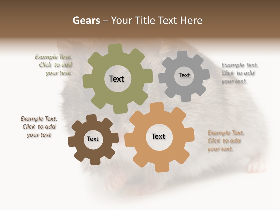 Phodopus Siberian Look PowerPoint Template