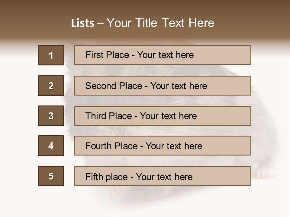 Phodopus Siberian Look PowerPoint Template