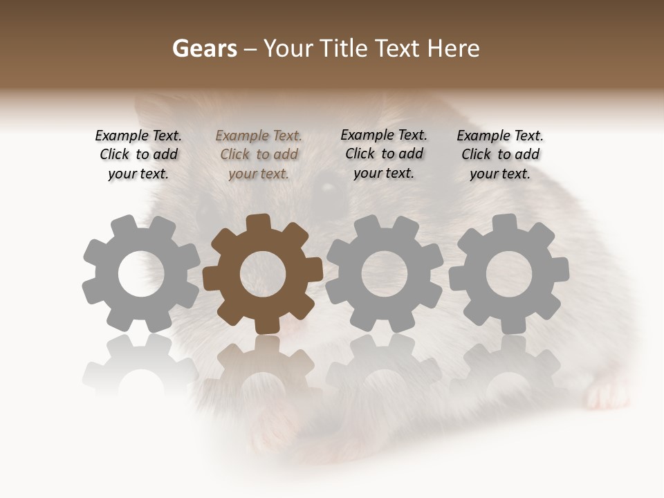 Phodopus Siberian Look PowerPoint Template