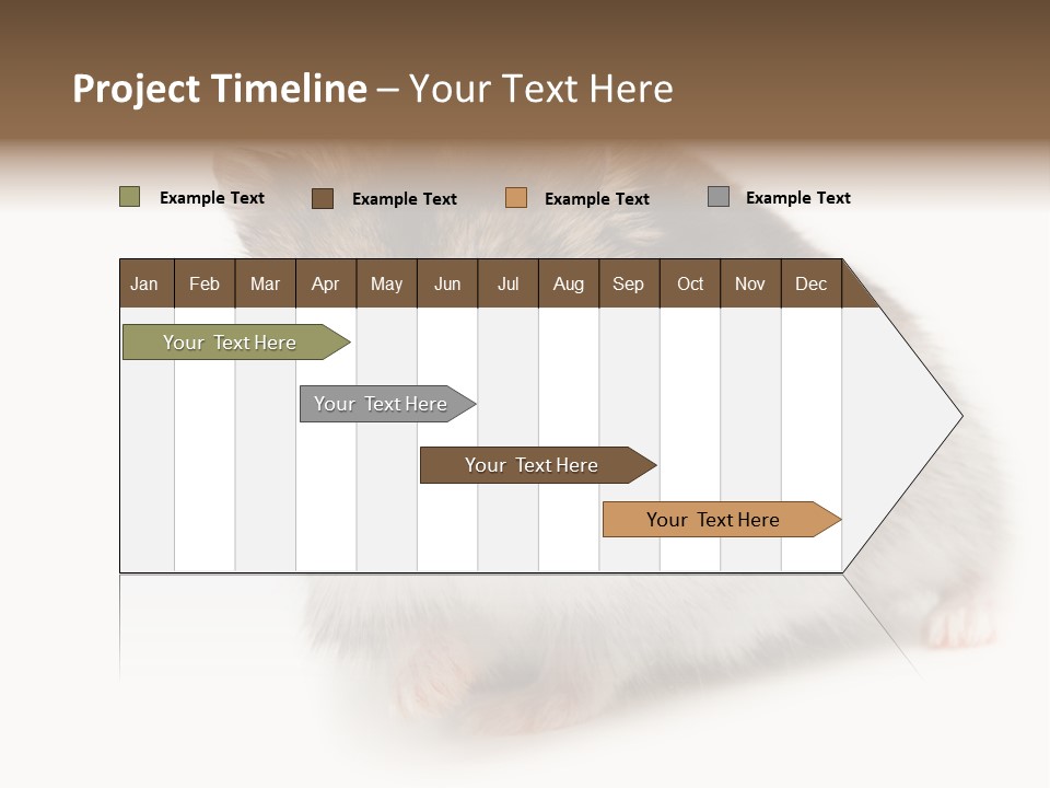 Phodopus Siberian Look PowerPoint Template
