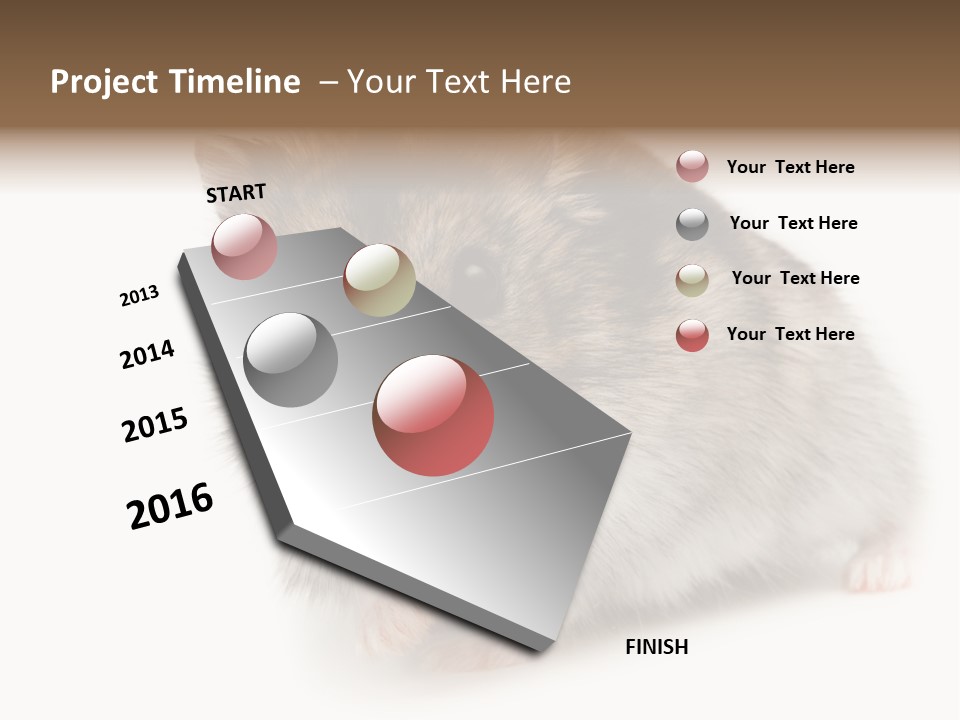 Phodopus Siberian Look PowerPoint Template