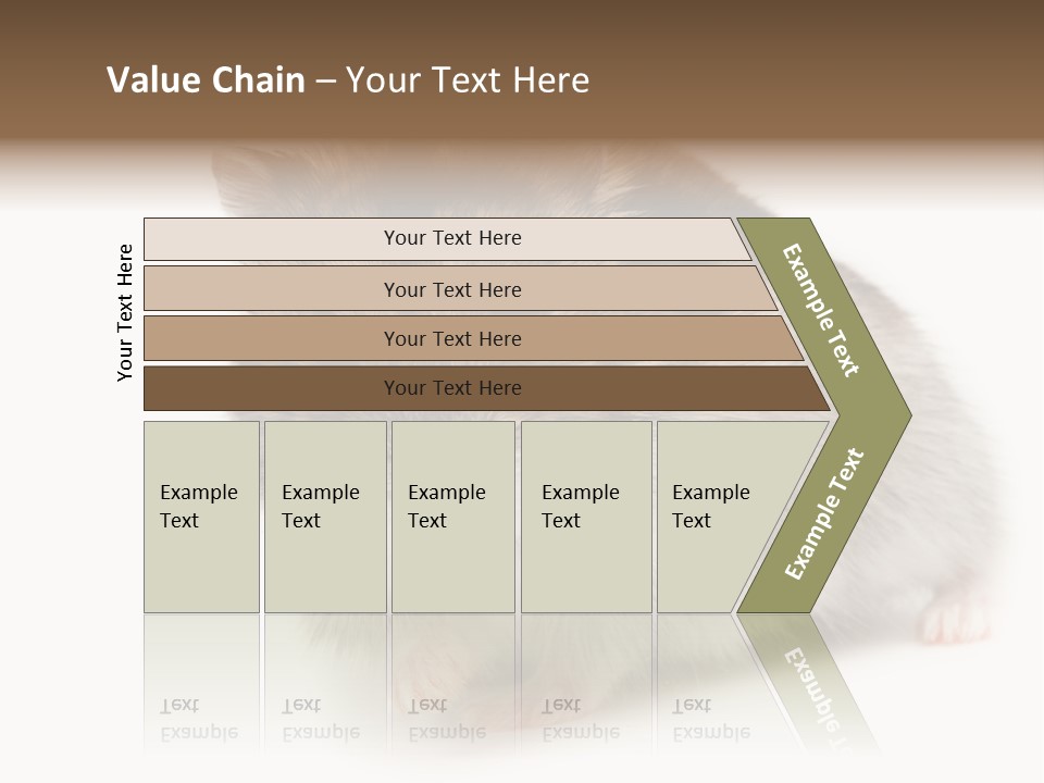 Phodopus Siberian Look PowerPoint Template