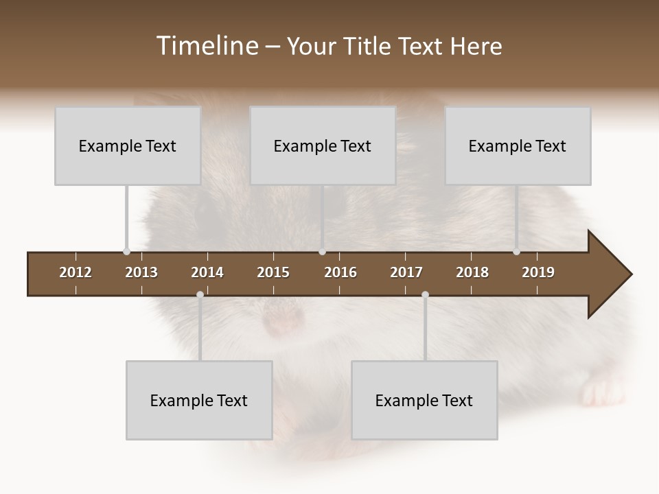 Phodopus Siberian Look PowerPoint Template
