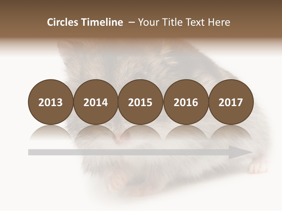 Phodopus Siberian Look PowerPoint Template