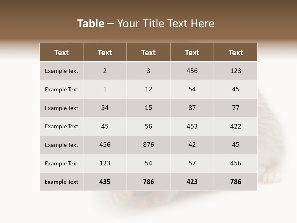 Phodopus Siberian Look PowerPoint Template