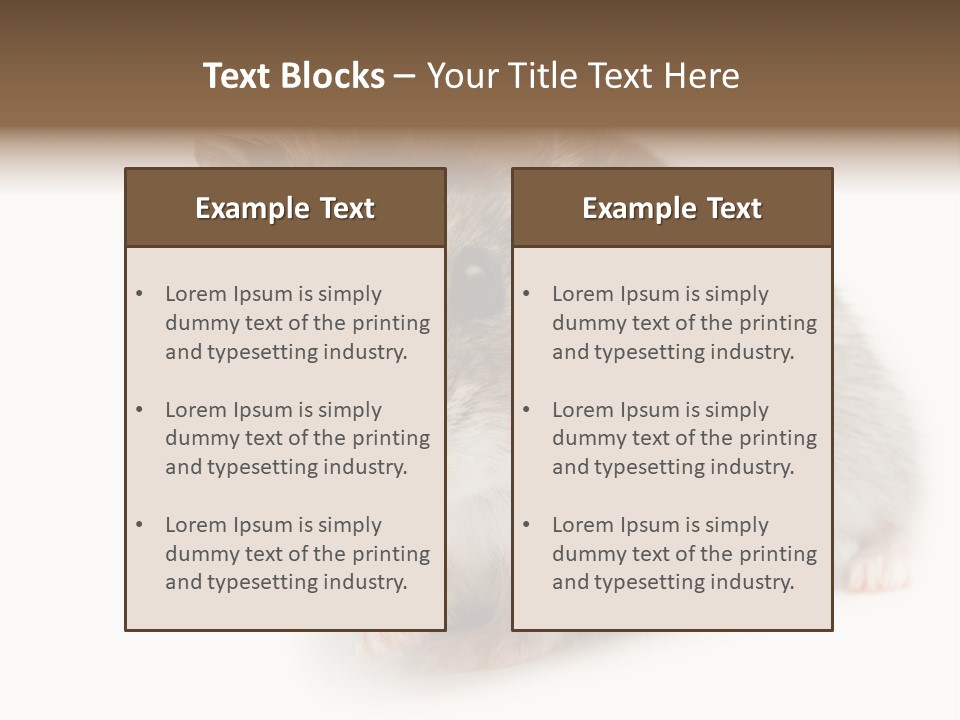Phodopus Siberian Look PowerPoint Template
