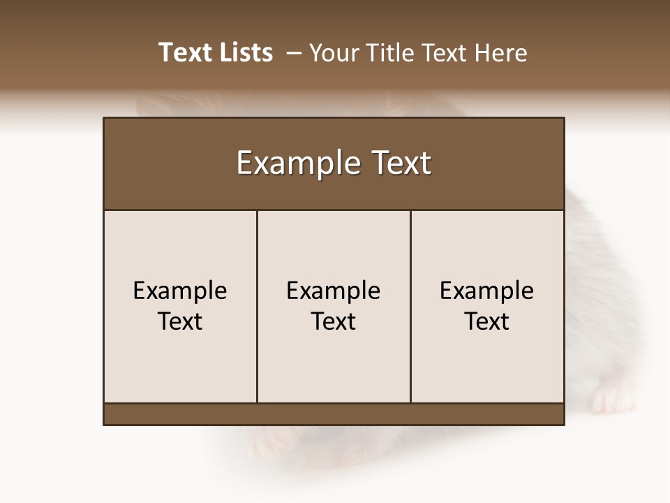 Phodopus Siberian Look PowerPoint Template