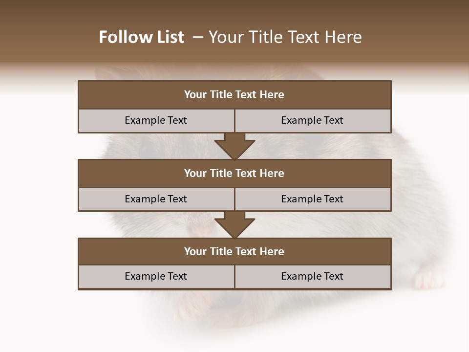 Phodopus Siberian Look PowerPoint Template