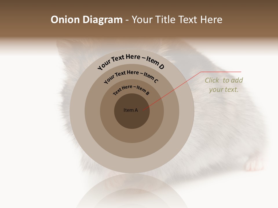 Phodopus Siberian Look PowerPoint Template