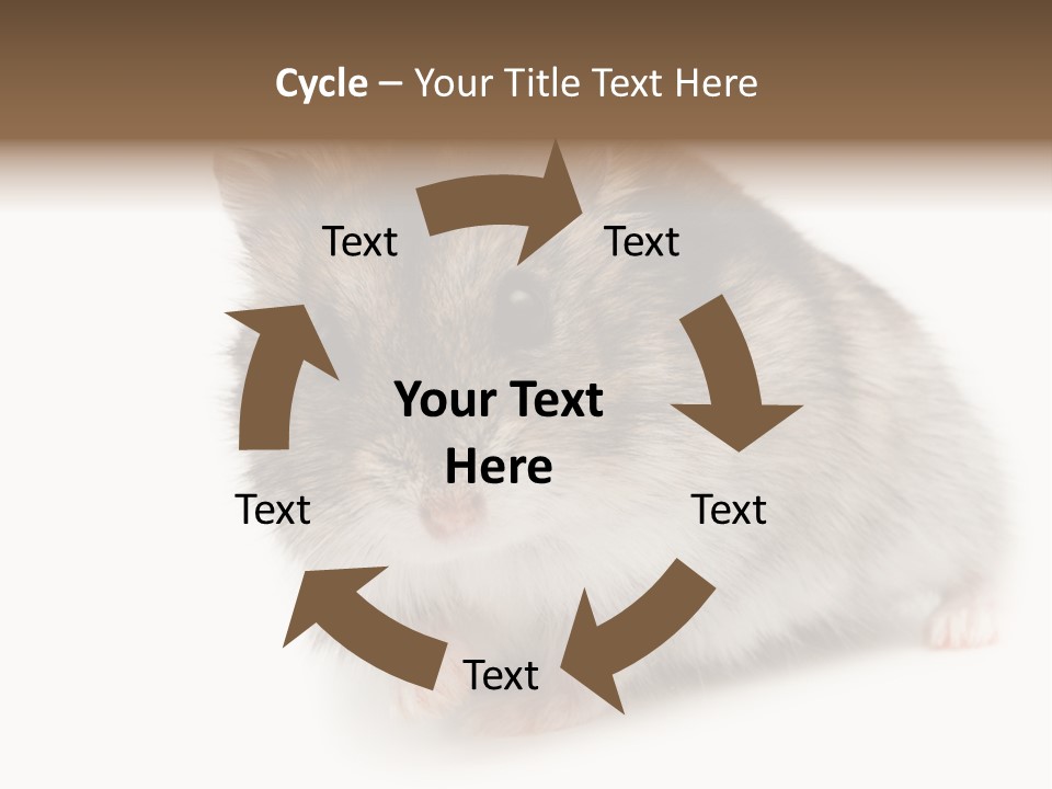 Phodopus Siberian Look PowerPoint Template