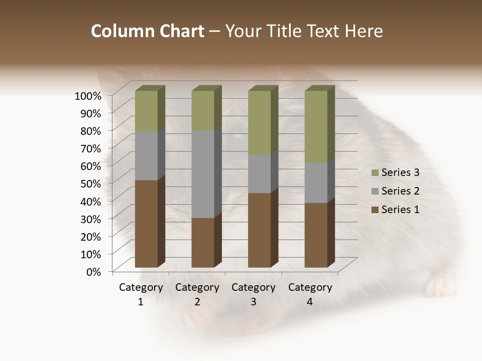 Phodopus Siberian Look PowerPoint Template