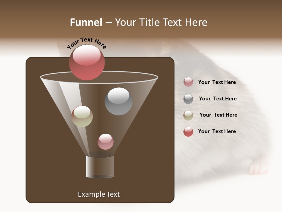 Phodopus Siberian Look PowerPoint Template