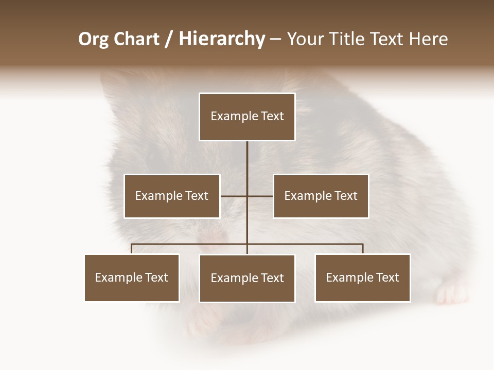 Phodopus Siberian Look PowerPoint Template