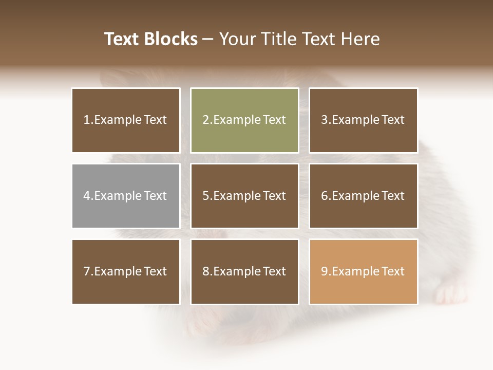 Phodopus Siberian Look PowerPoint Template