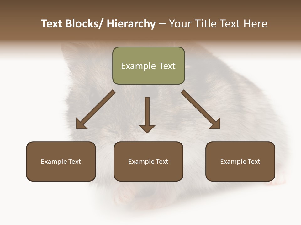 Phodopus Siberian Look PowerPoint Template