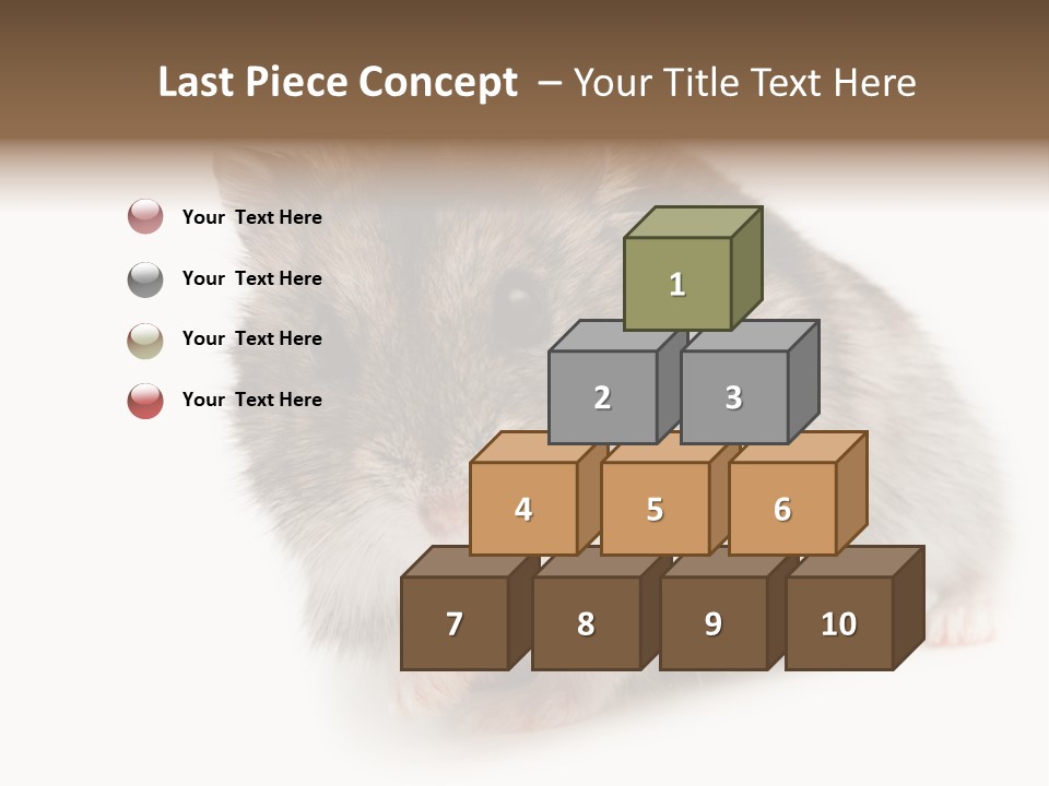 Phodopus Siberian Look PowerPoint Template