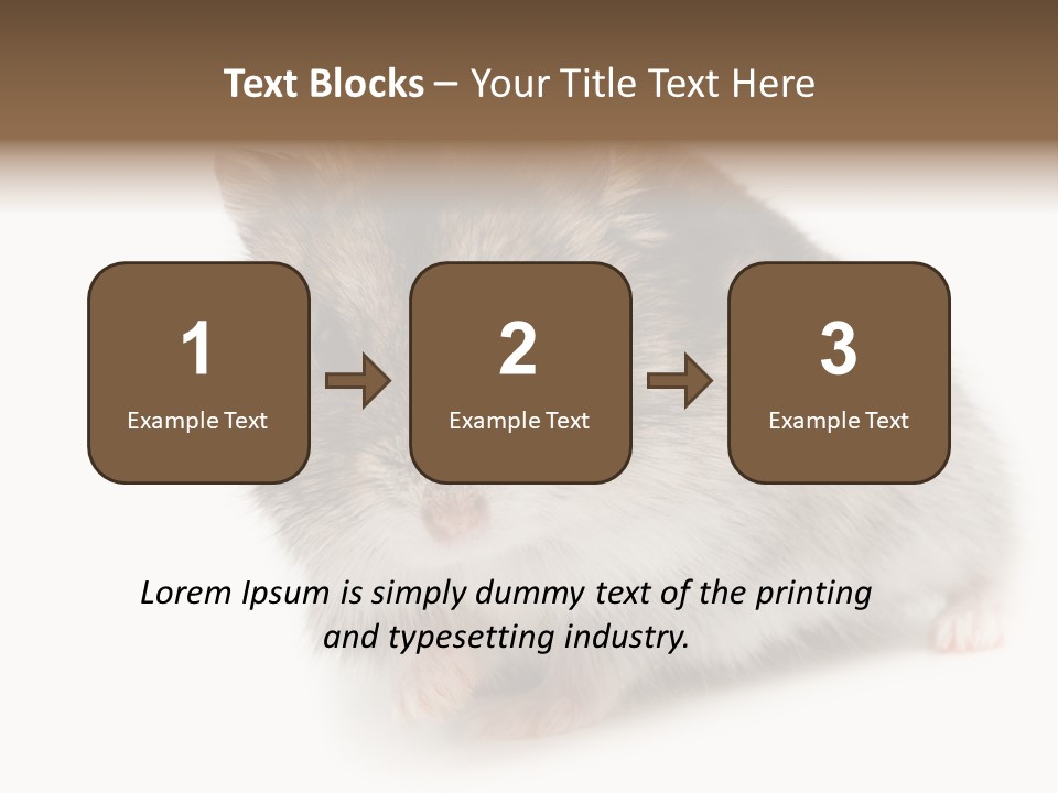 Phodopus Siberian Look PowerPoint Template