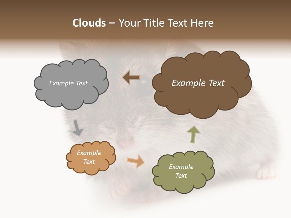 Phodopus Siberian Look PowerPoint Template