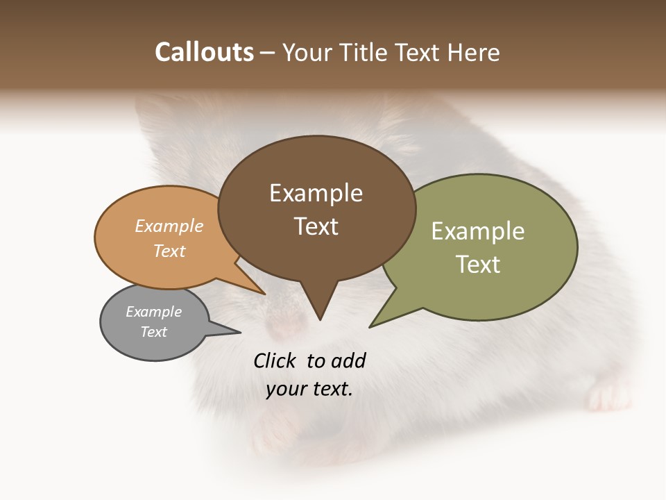 Phodopus Siberian Look PowerPoint Template