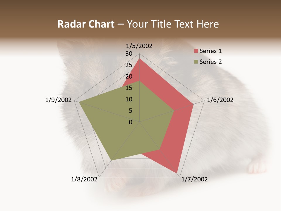 Phodopus Siberian Look PowerPoint Template