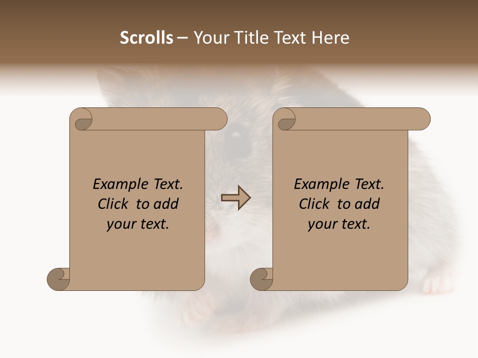 Phodopus Siberian Look PowerPoint Template