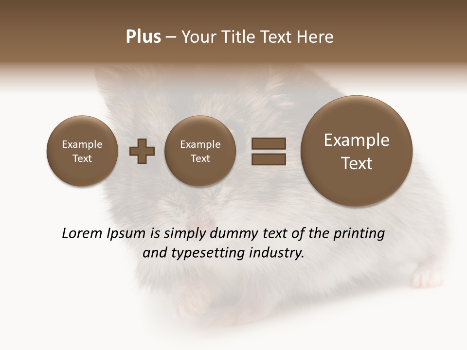 Phodopus Siberian Look PowerPoint Template