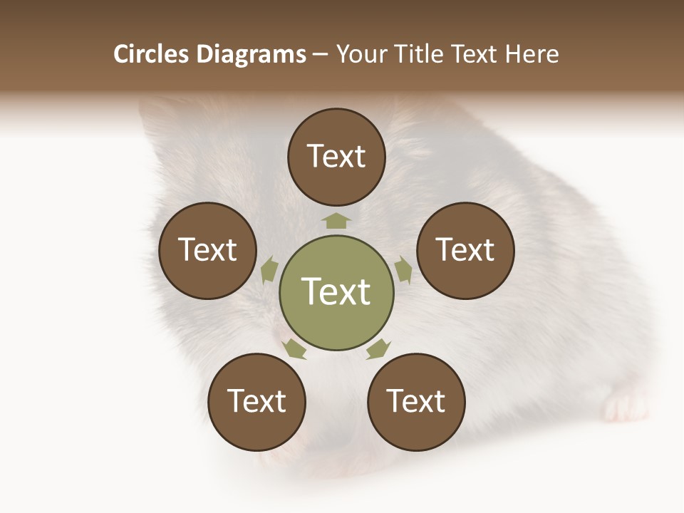 Phodopus Siberian Look PowerPoint Template