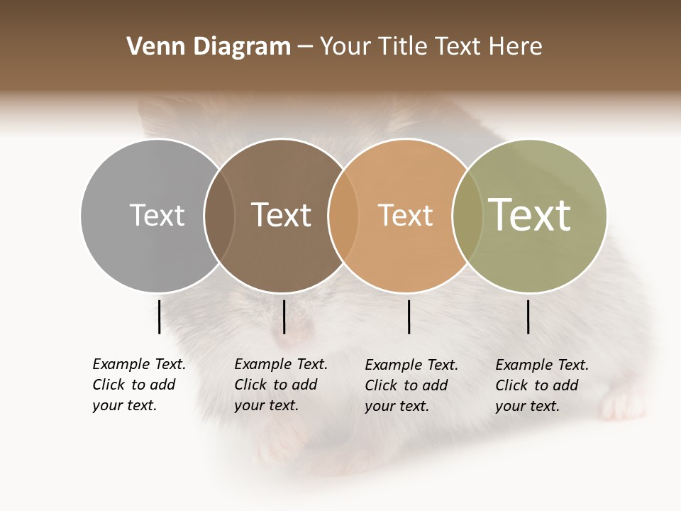 Phodopus Siberian Look PowerPoint Template