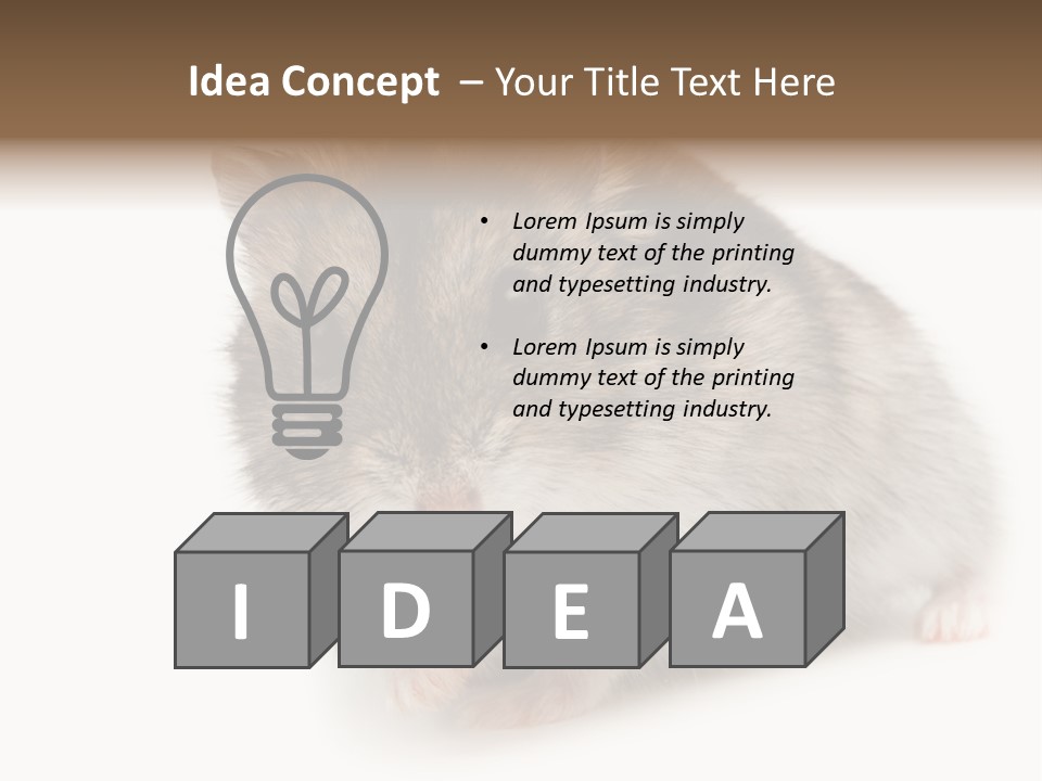 Phodopus Siberian Look PowerPoint Template