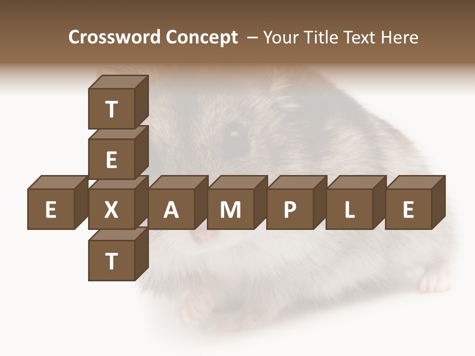 Phodopus Siberian Look PowerPoint Template