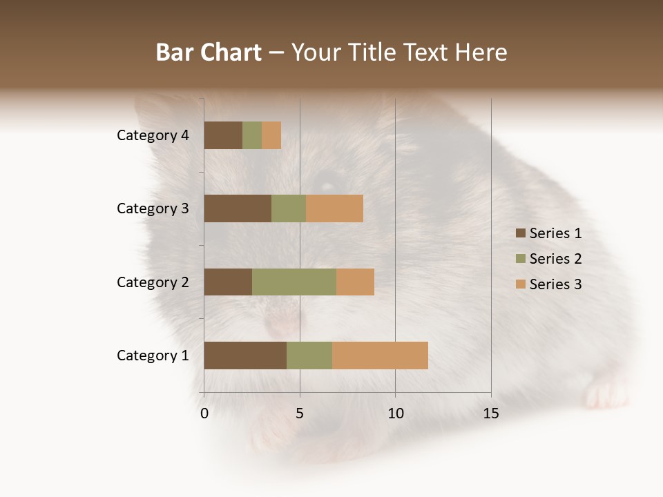 Phodopus Siberian Look PowerPoint Template