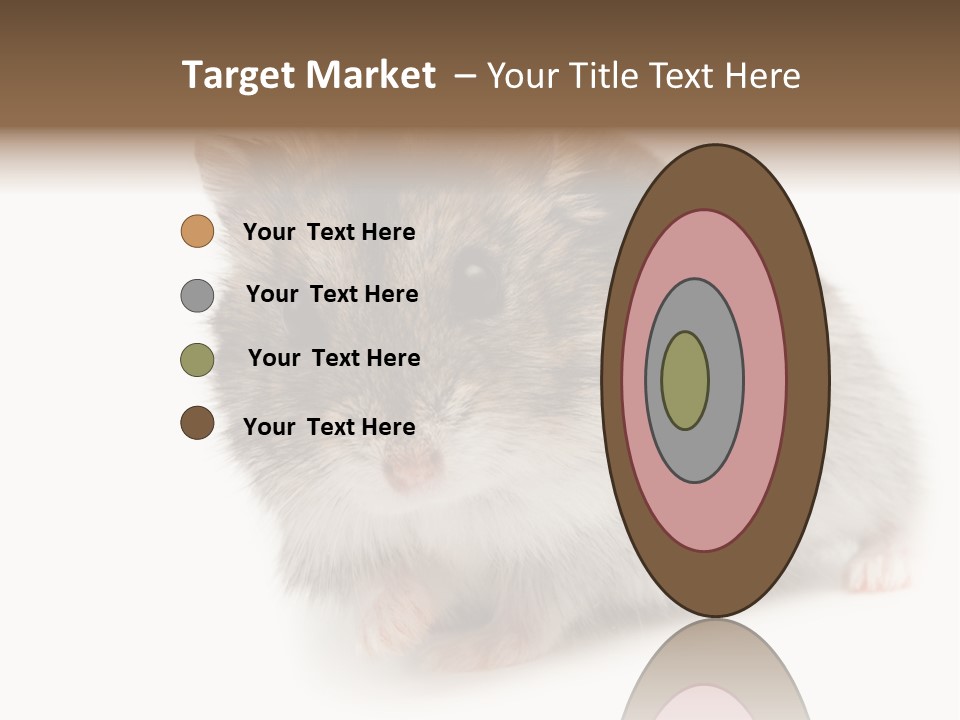 Phodopus Siberian Look PowerPoint Template