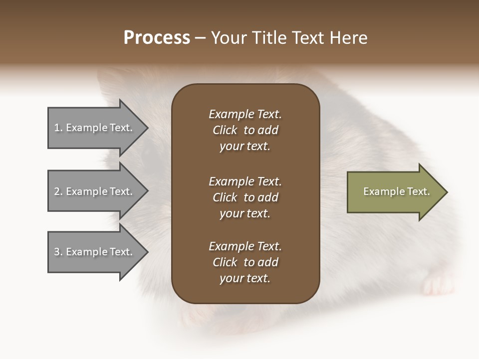 Phodopus Siberian Look PowerPoint Template