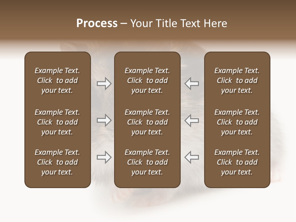 Phodopus Siberian Look PowerPoint Template