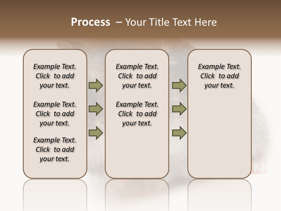 Phodopus Siberian Look PowerPoint Template