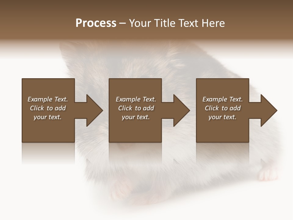 Phodopus Siberian Look PowerPoint Template