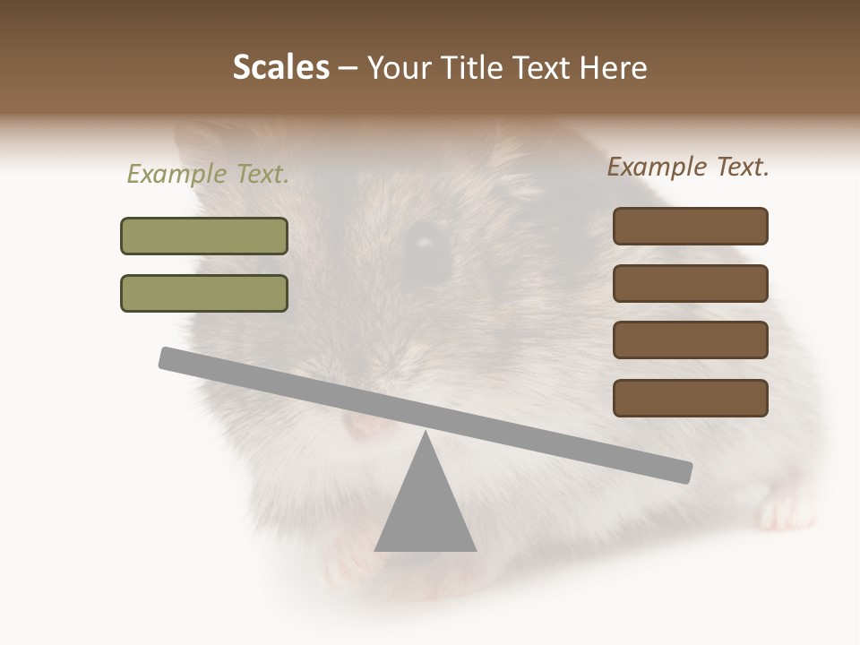 Phodopus Siberian Look PowerPoint Template