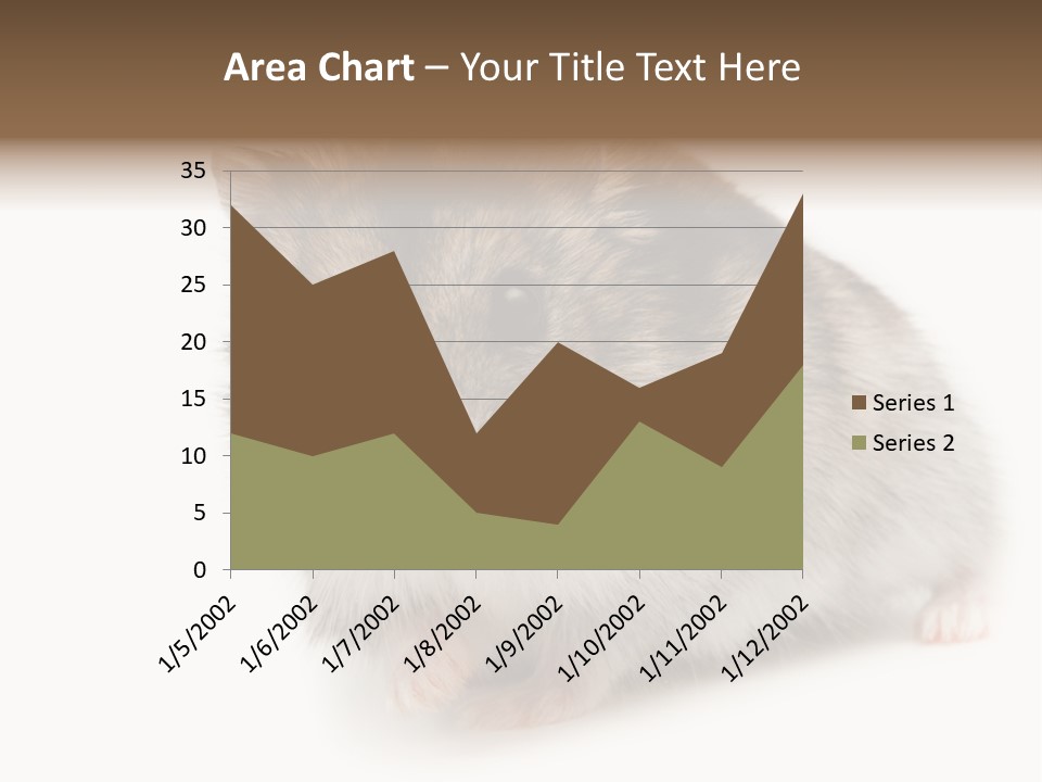 Phodopus Siberian Look PowerPoint Template