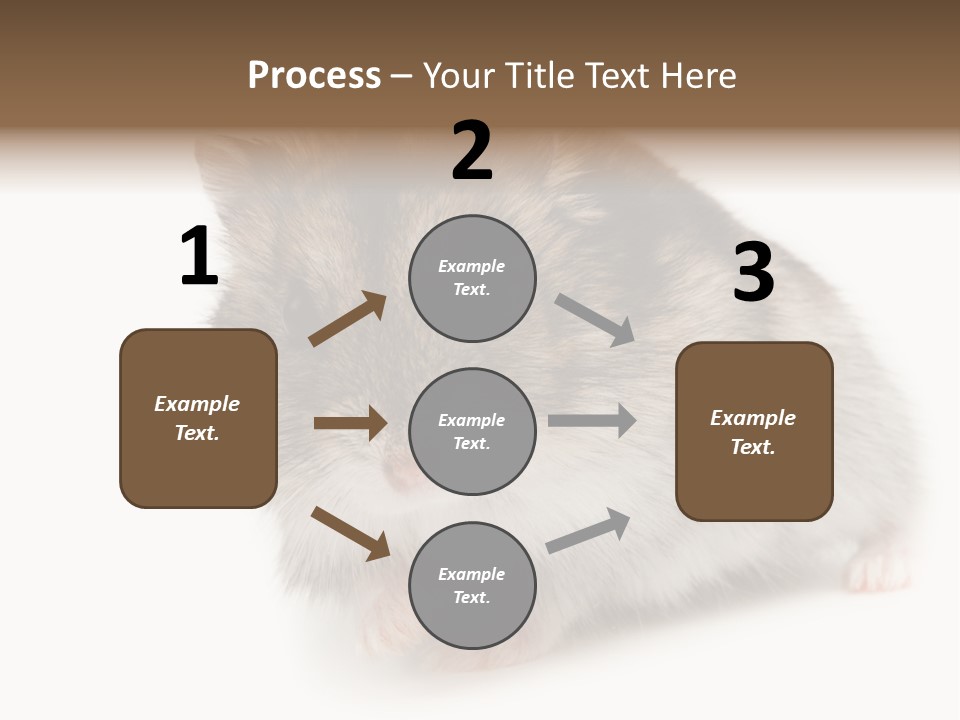 Phodopus Siberian Look PowerPoint Template