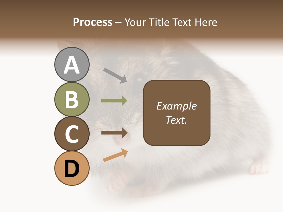Phodopus Siberian Look PowerPoint Template