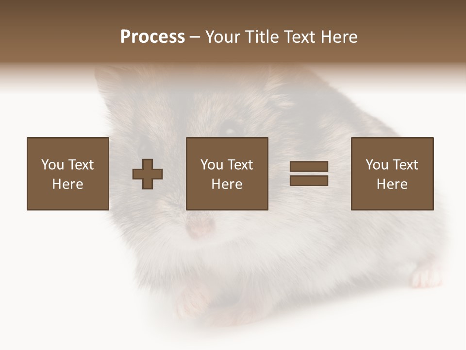 Phodopus Siberian Look PowerPoint Template