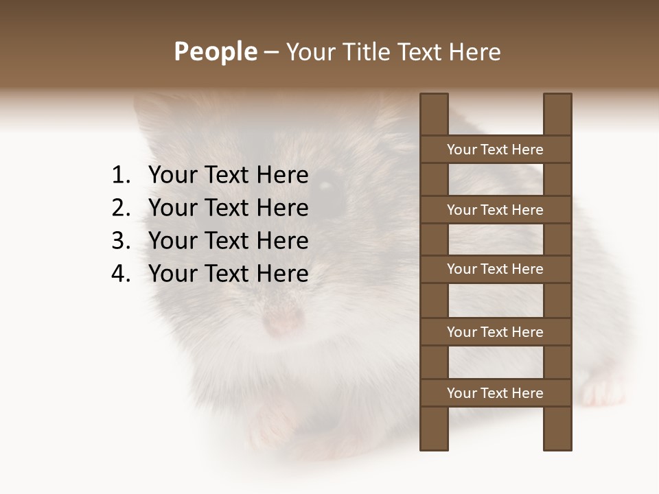 Phodopus Siberian Look PowerPoint Template