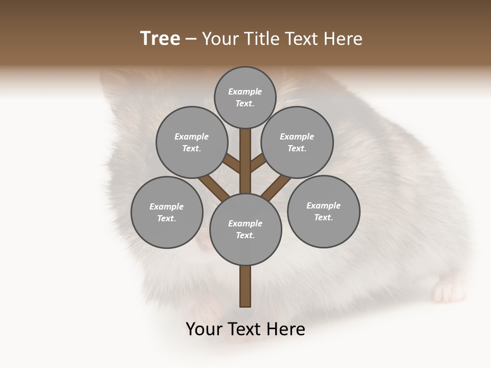 Phodopus Siberian Look PowerPoint Template
