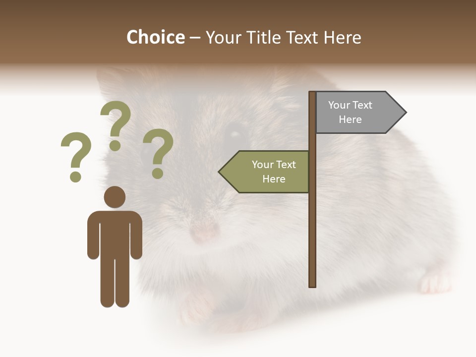 Phodopus Siberian Look PowerPoint Template