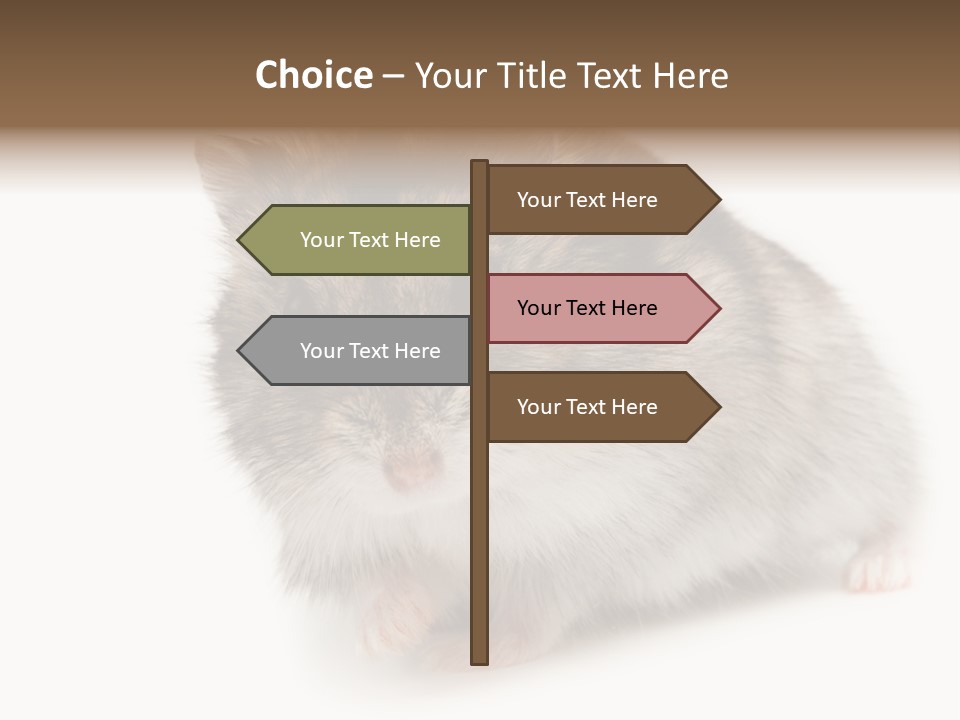 Phodopus Siberian Look PowerPoint Template