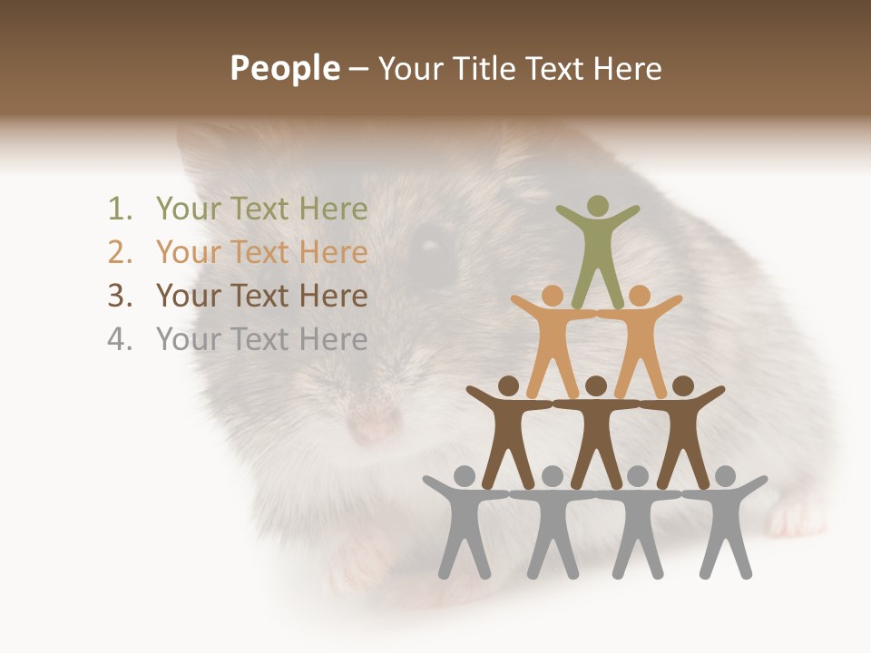 Phodopus Siberian Look PowerPoint Template