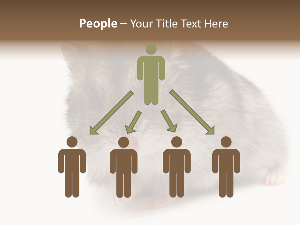 Phodopus Siberian Look PowerPoint Template