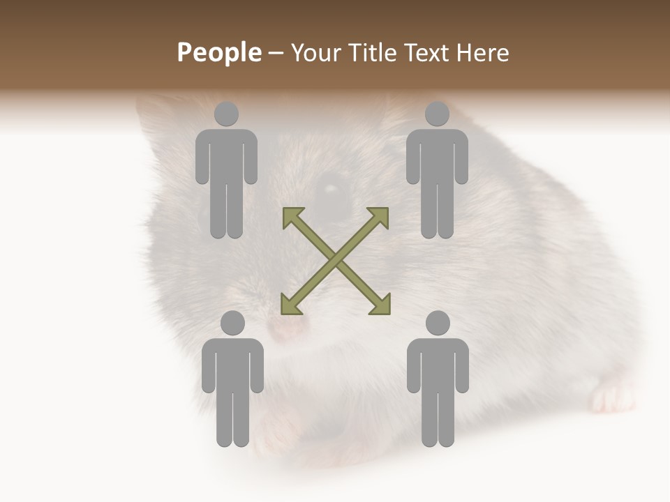 Phodopus Siberian Look PowerPoint Template