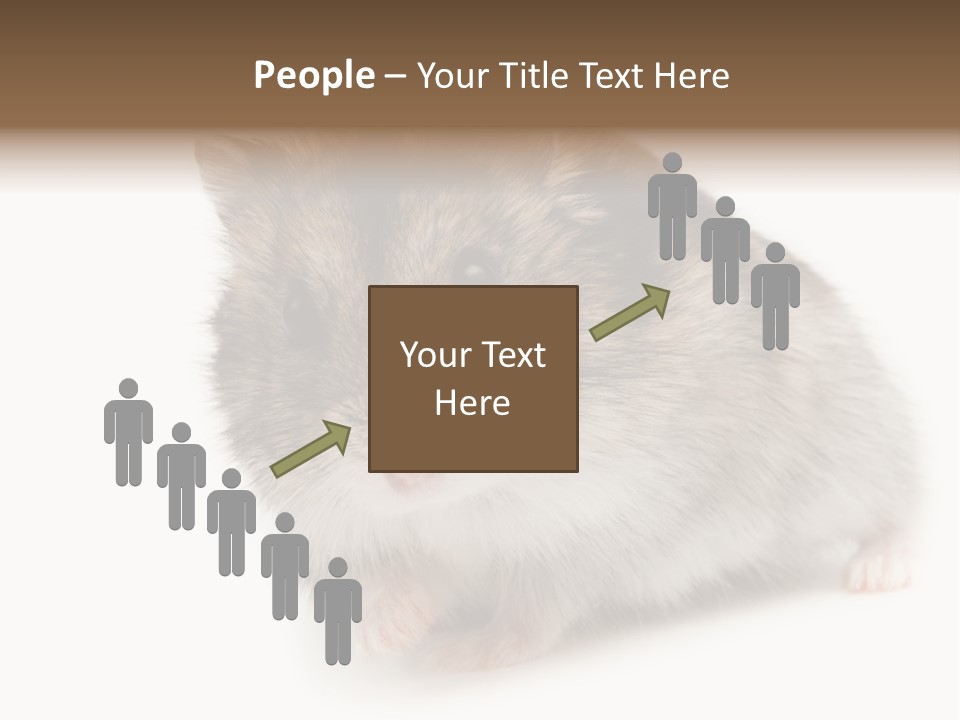 Phodopus Siberian Look PowerPoint Template